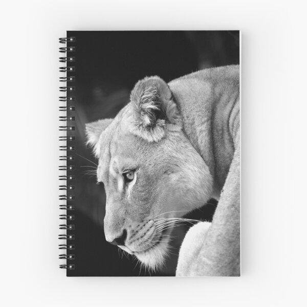 Item preview, Magestic designed and sold by Steve Chapple.