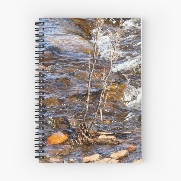 Artikelvorschau, spring stream entworfen und verkauft von delfinada.