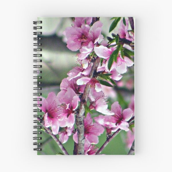 Item preview, last peach blossom designed and sold by actnatural.