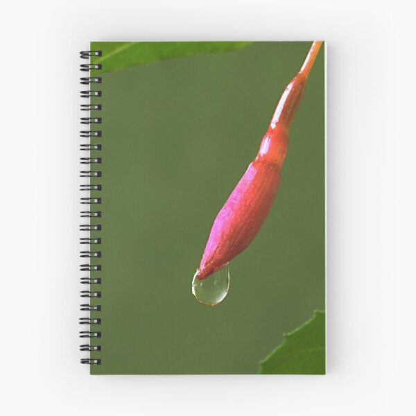Item preview, Droplet designed and sold by Creative by Design.
