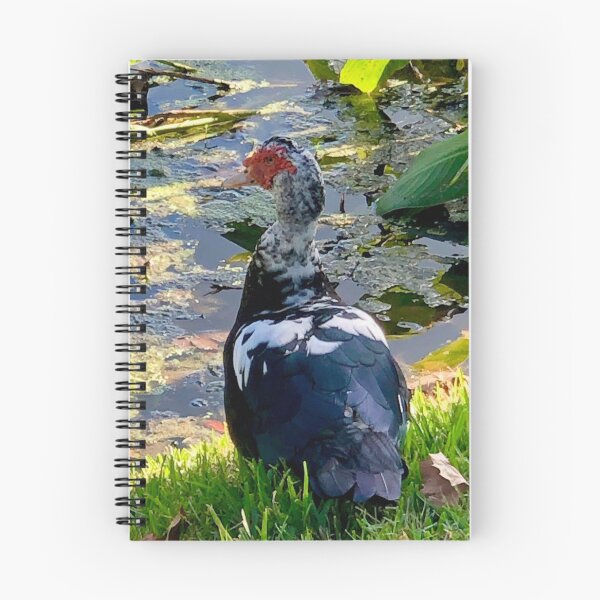 Item preview, Muscovy Duck by Pond designed and sold by 2CrabbySisters.