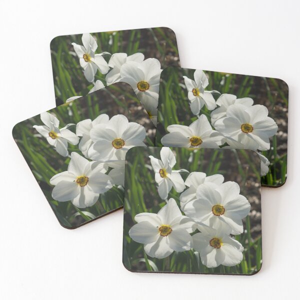 Item preview, Sparkling, Fabulous White Narcissus with a Touch of Red designed and sold by Georgia Mizuleva.