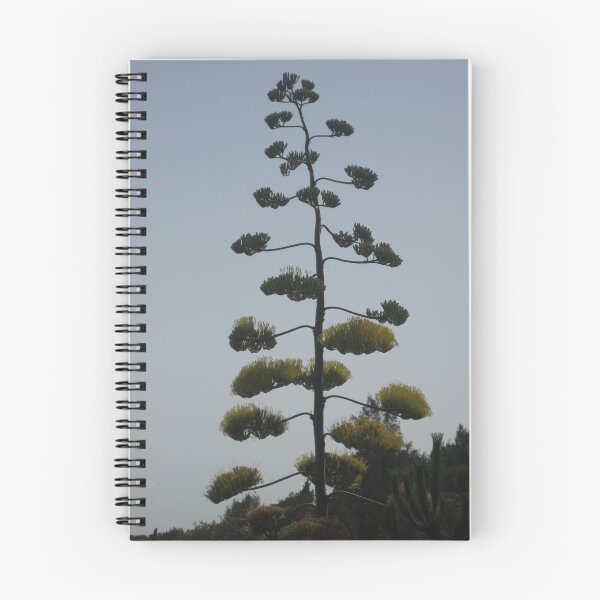 Item preview, Tree designed and sold by Caoimhe Mc Carthy.