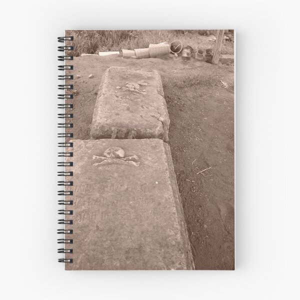 Artikelvorschau, Mexican Graves entworfen und verkauft von skeletalbird.