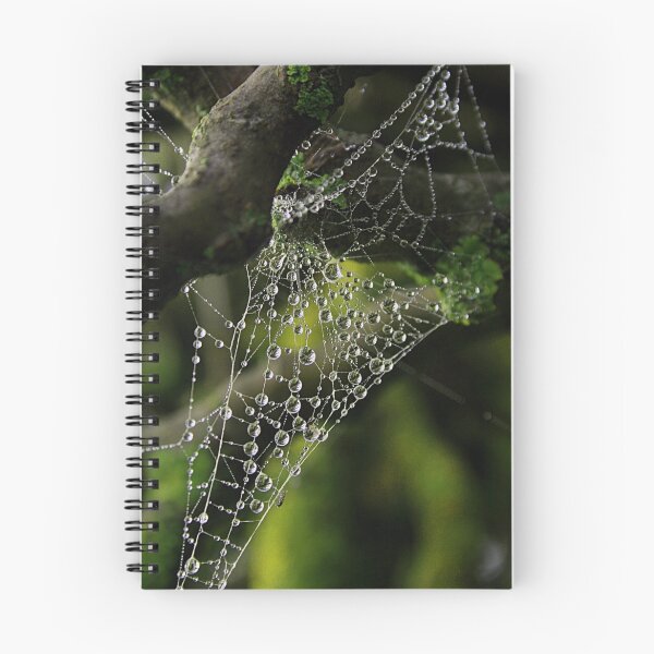 Item preview, Web drops designed and sold by Steve Chapple.