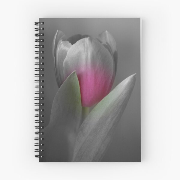Item preview, A hint of pink designed and sold by Steve plowman.