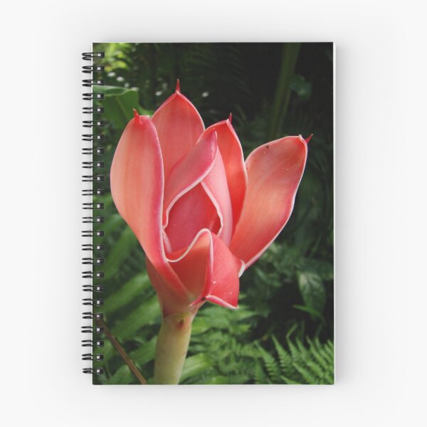 Item preview, torch ginger - tropical flowers series designed and sold by PeaceM.