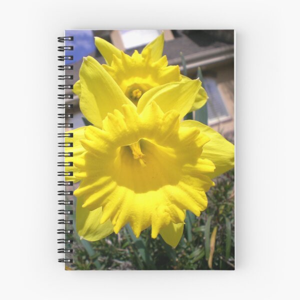 Item preview, Pure Sunshine designed and sold by peja.