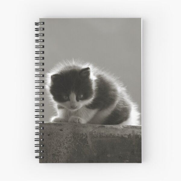 Item preview, Prudence designed and sold by Nikolay Semyonov.