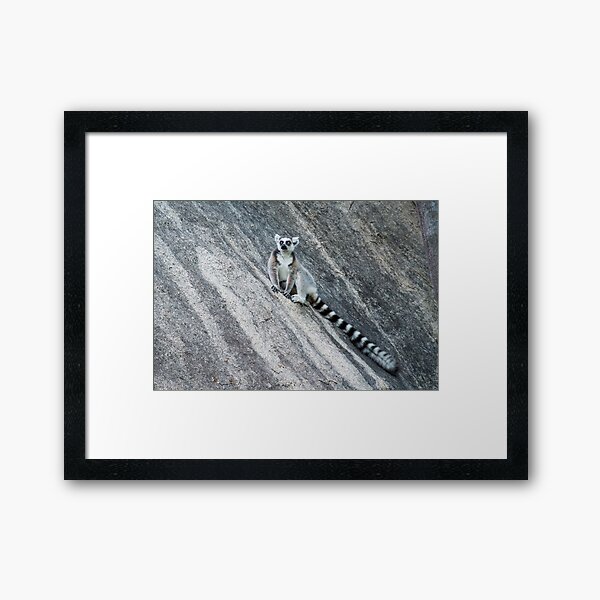 Bright eyes in a black and white world Framed Art Print