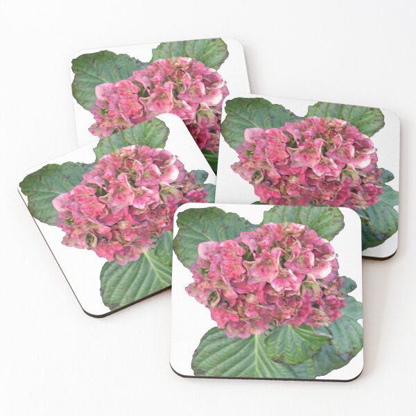 Item preview, Nature, Flora, Flower, Hortensia, Red, Europe, Portugal, Azores, Photography, BebiCervin designed and sold by BebiCervin.