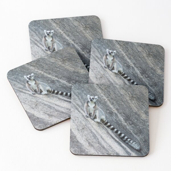 Bright eyes in a black and white world Coasters (Set of 4)