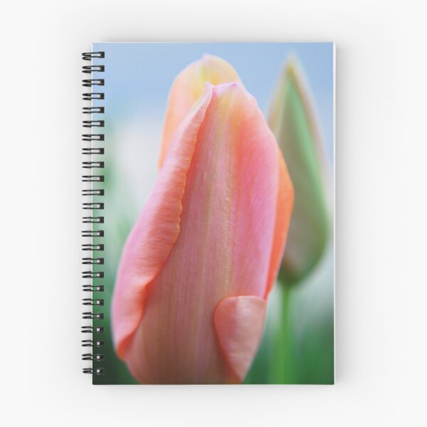 Item preview, Soft Tulip designed and sold by xPressiveImages.