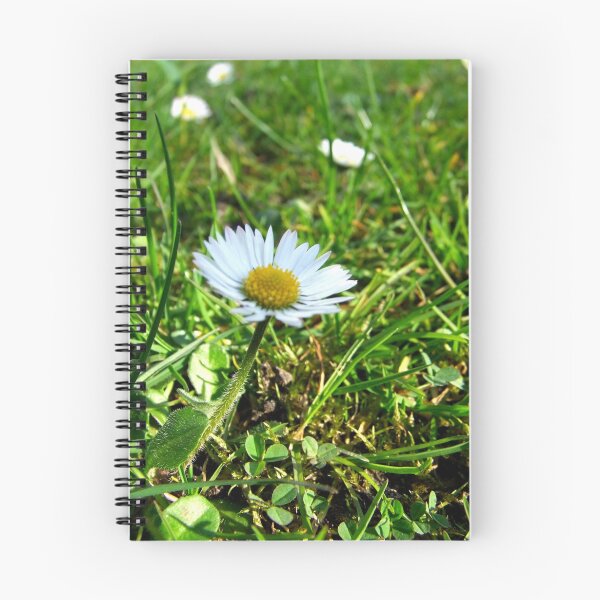 Item preview, Daisy spring meadow designed and sold by TriciaDanby.