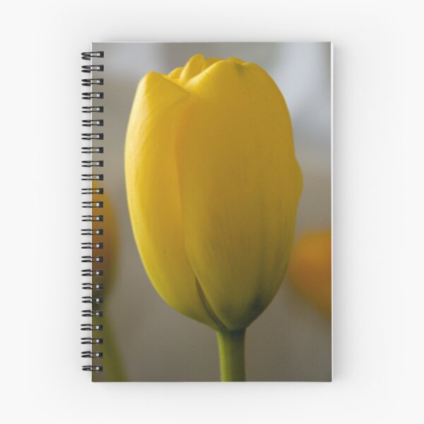 Item preview, soft and dreamy designed and sold by Steve plowman.
