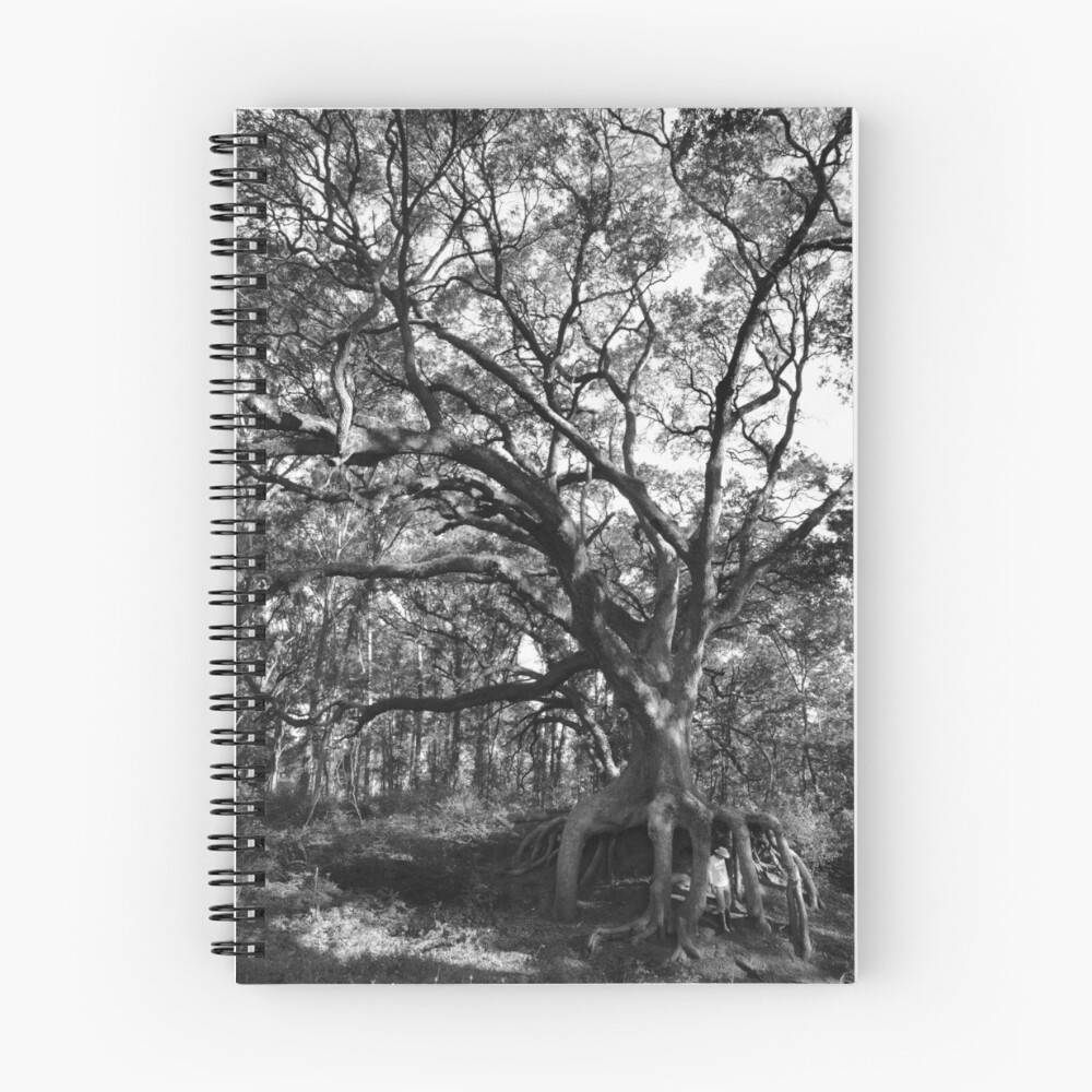 Item preview, Spiral Notebook designed and sold by Miracles.