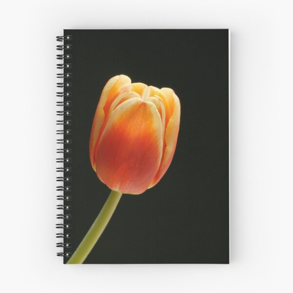 Item preview, Into The Light designed and sold by Sheryl Kasper.