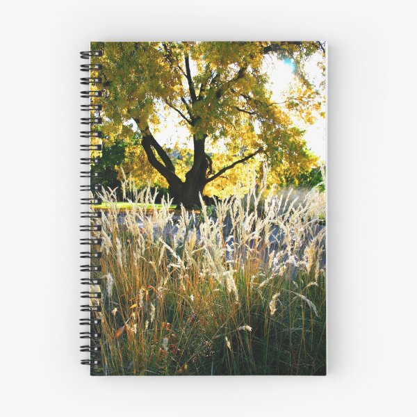 Item preview, Autumn Backlight designed and sold by Anthony Davey.