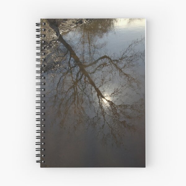 Item preview, A True Reflection designed and sold by Larry Llewellyn.