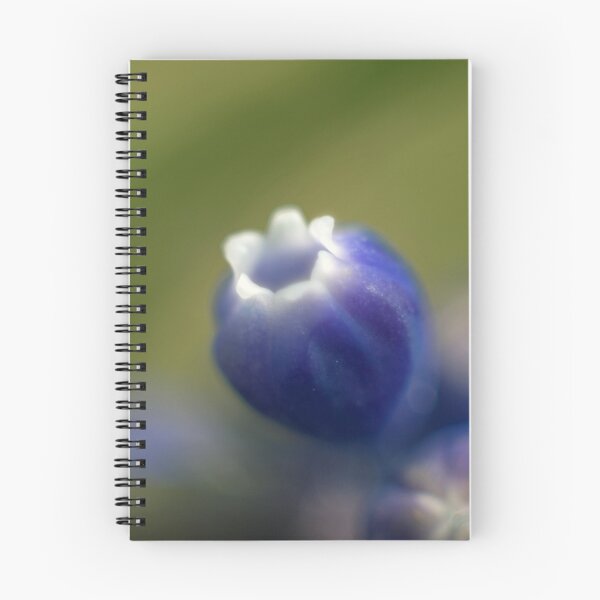 Item preview, Signs of Spring designed and sold by BarbHoffman.