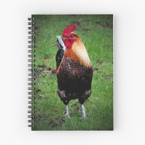 Item preview, Rooster designed and sold by Janine  Hewlett.