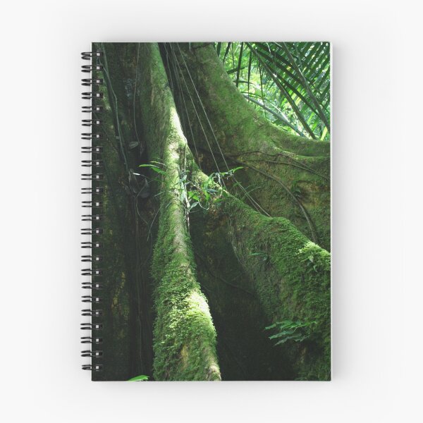 Item preview, Big Tree designed and sold by Kphotographer.