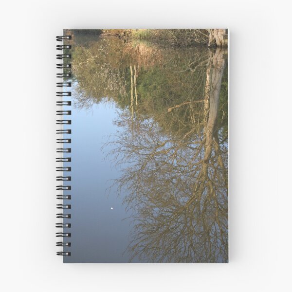 Artikelvorschau, Reflections 1 entworfen und verkauft von willJohnson.