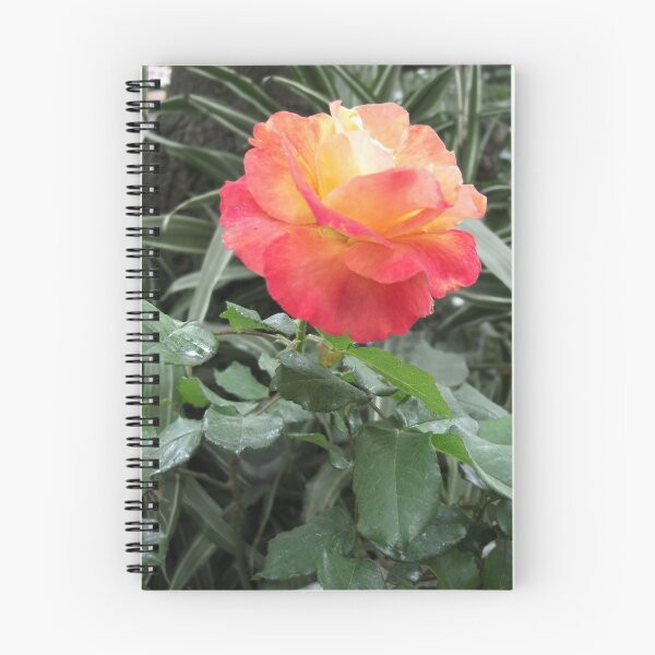 Item preview, A Street Rose designed and sold by TravelPhotoArt.