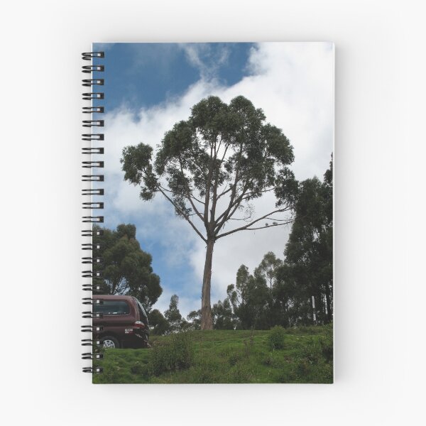 Item preview, The Lone Tree designed and sold by Jonathan Bartlett.