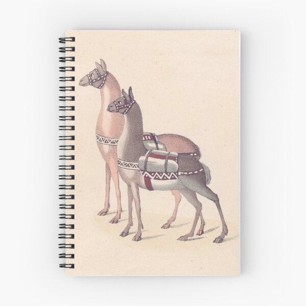 Item preview, Vintage Illustration of Llamas (1809) designed and sold by BravuraMedia.