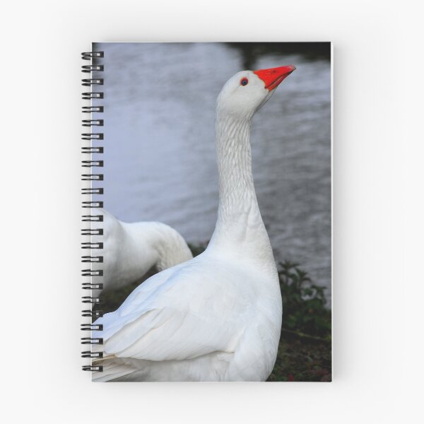 Item preview, margam waterfowl designed and sold by zacco.