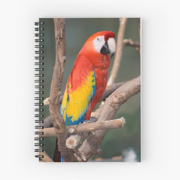 Item preview, Scarlet Macaw designed and sold by BarbHoffman.