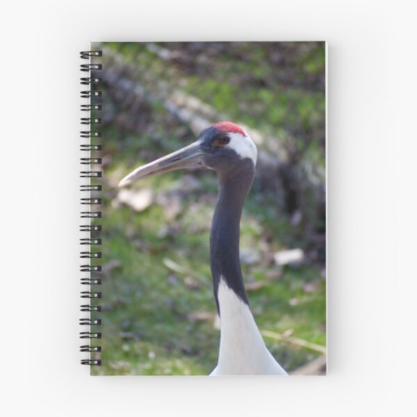 Item preview, Red-Crowned Crane designed and sold by BarbHoffman.