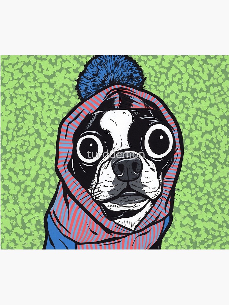 boston terrier sweater