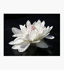Paper White Photographic Print
