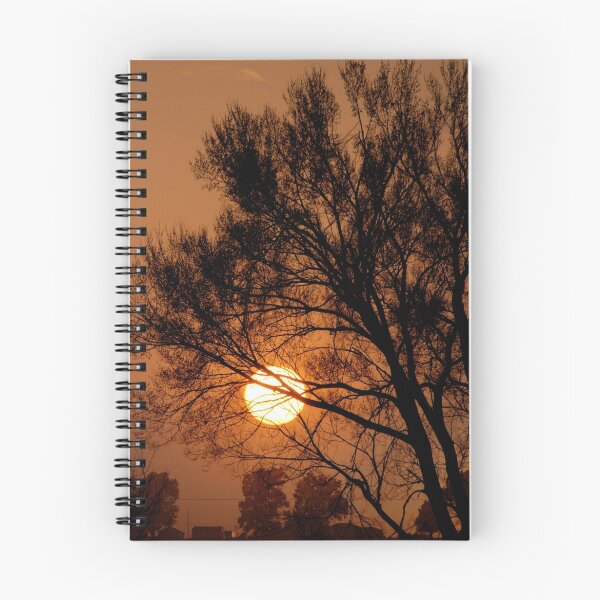 Item preview, Sunsets Growing On Trees designed and sold by Robert Baker.