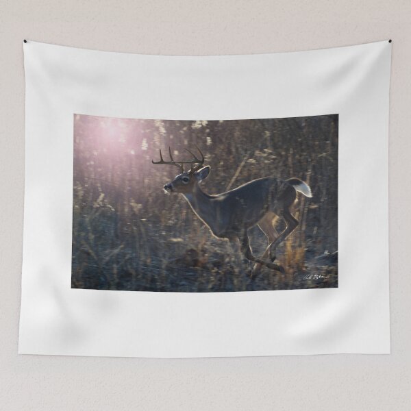 Item preview, Buck On The Move designed and sold by Bill Stephens.
