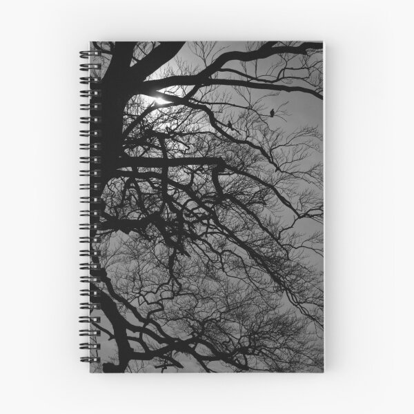 Item preview, Tree Silhouette designed and sold by Mark Andrew Turner.