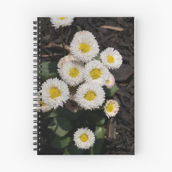 Item preview, Daisy Bunch designed and sold by Henri Yrizarri.
