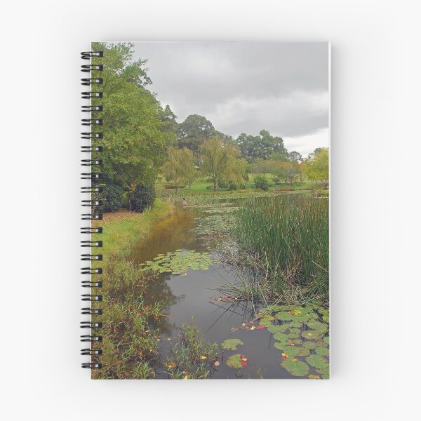 Item preview, Fagan Park Pond designed and sold by George Petrovsky.