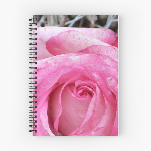Artikelvorschau, Pastel Rose entworfen und verkauft von TriciaDanby.