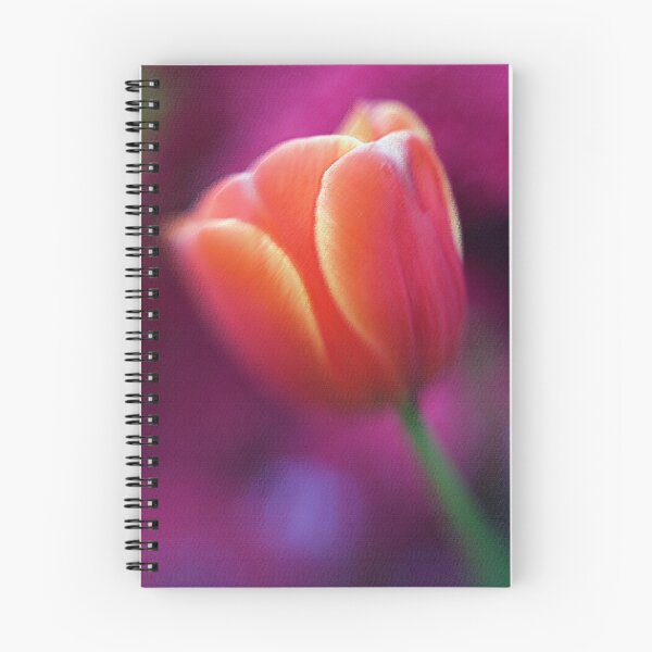 Aperçu de l'œuvre Tulip créée et vendue par Mary Broome.