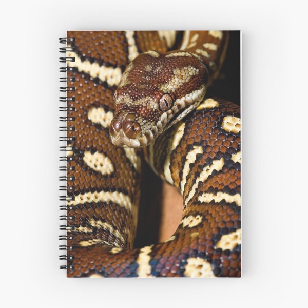 Item preview, Centralian Carpet Python designed and sold by Frank Yuwono.