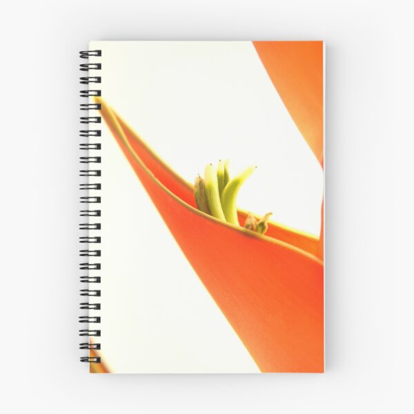 Artikelvorschau, Orange Heliconia Blume auf weißem Hintergrund entworfen und verkauft von NKSharp.