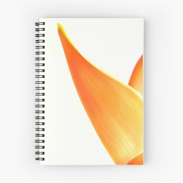 Artikelvorschau, Orange Heliconia auf weißem Hintergrund entworfen und verkauft von NKSharp.