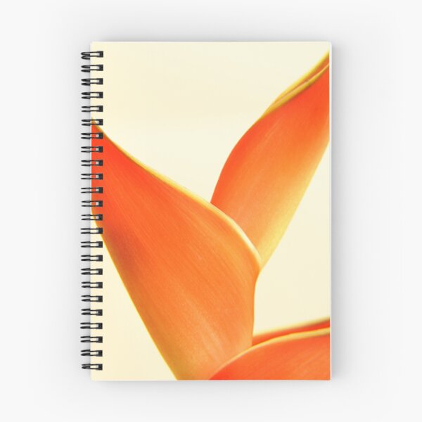 Artikelvorschau, Orange Heliconia auf weißem Hintergrund entworfen und verkauft von NKSharp.