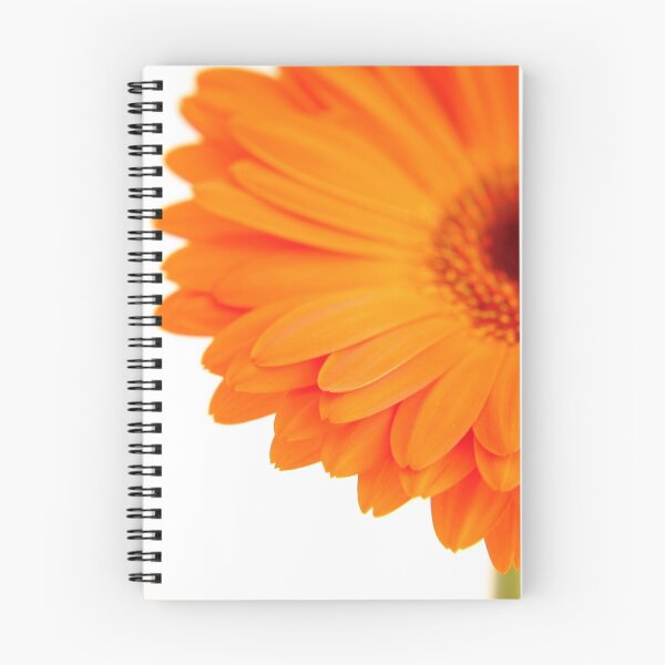 Aperçu de l'œuvre Fleur de Gerbra orange créée et vendue par NKSharp.