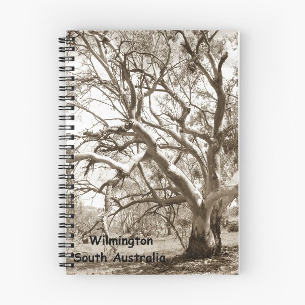Item preview, Wilmington - South Australia designed and sold by Linda Hitch.