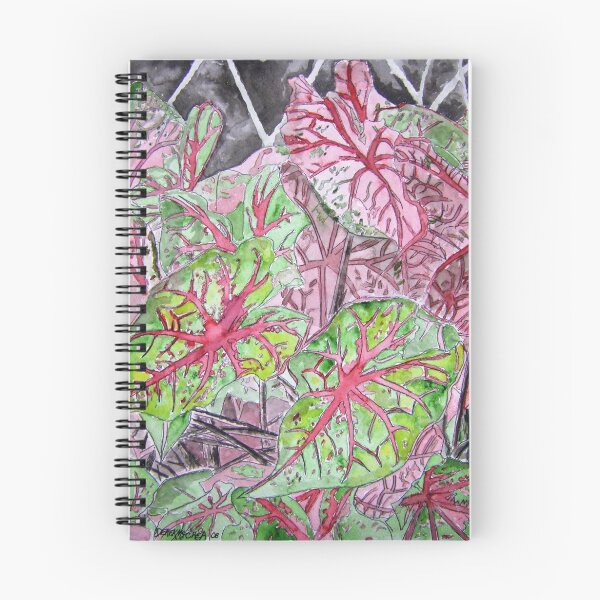 Item preview, Caladiums tropical plant painting designed and sold by derekmccrea.