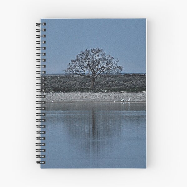 Item preview, Reflecting designed and sold by Melissa  Hintz.